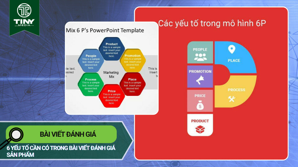 Bài viết đánh giá