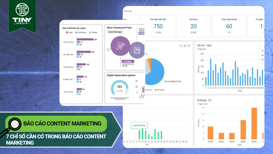 Báo cáo content marketing