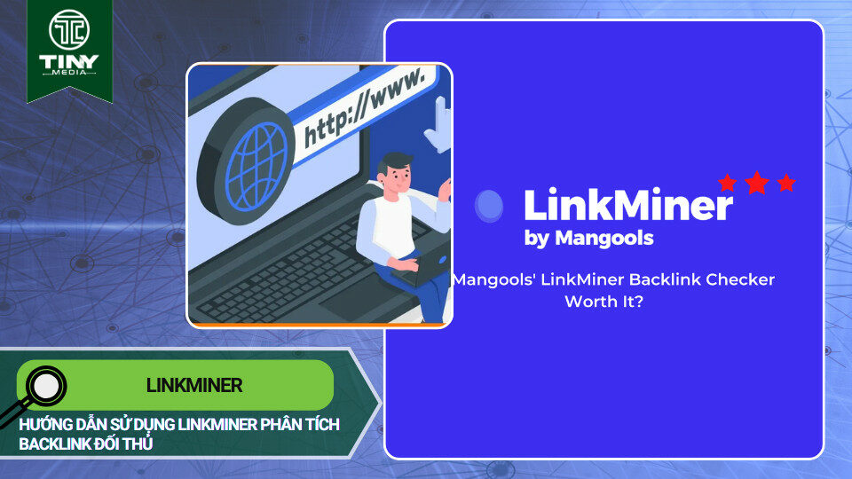 LinkMiner