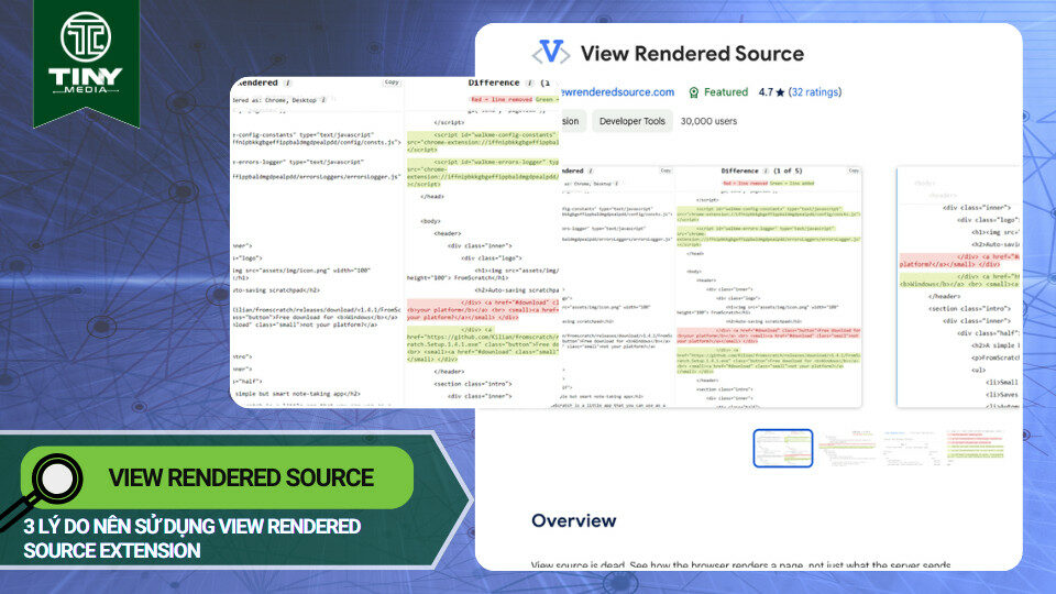 View Rendered Source