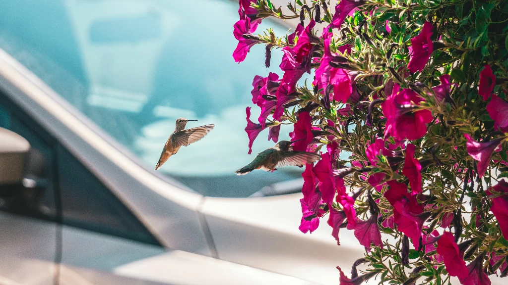 Thuật toán Hummingbird tối ưu truy vấn theo ngữ cảnh